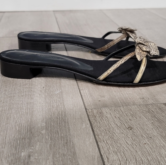 Nwob Antonio Bossi reptile slides 11M - Picture 3 of 6